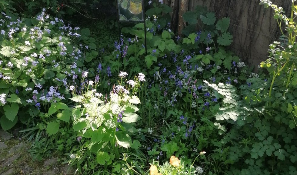Mermaid house-garden