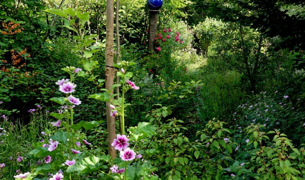 Muggenbeet - fam Rutten- Testelmans