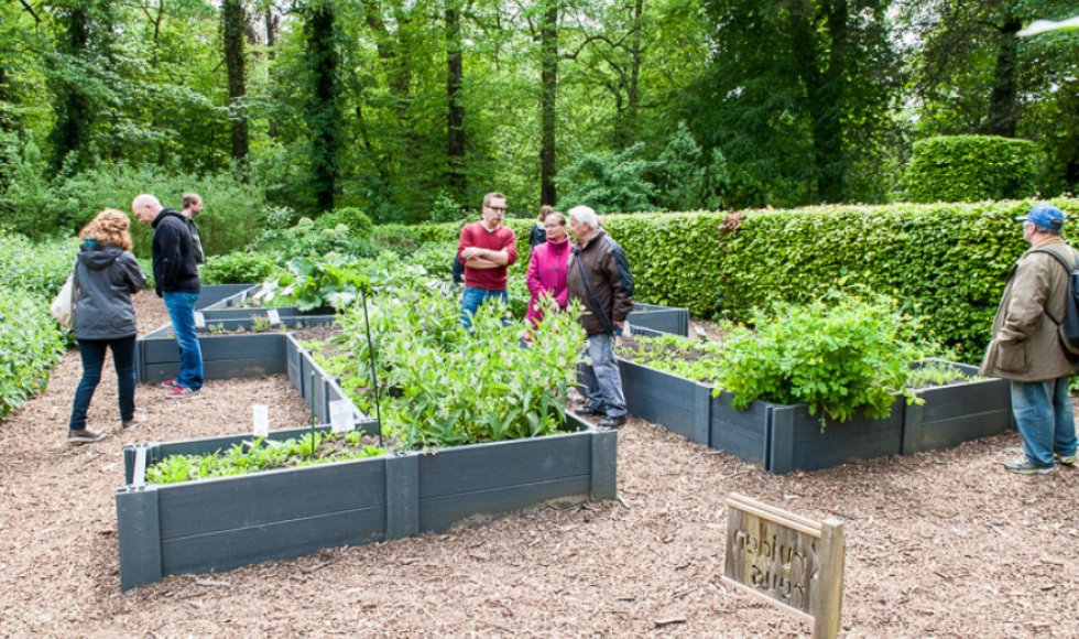 Dodoenstuin kruidentuin