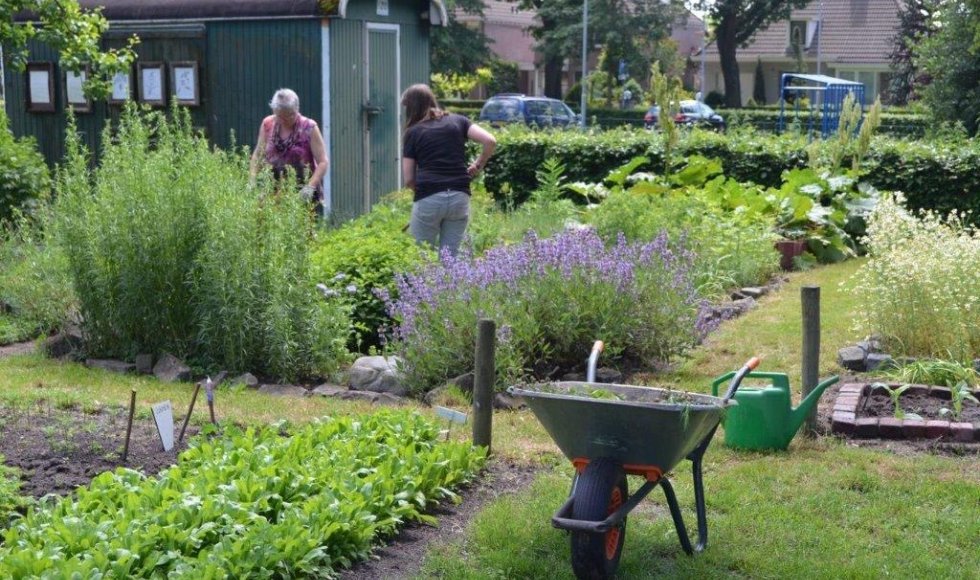 Velt-tuin Valkenswaard