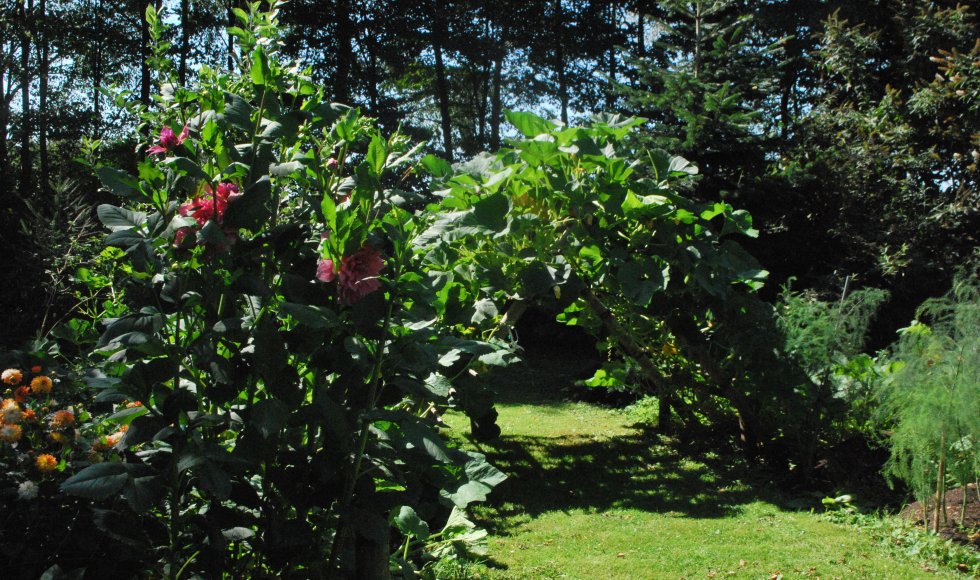 Ecotuin Anton en Lieve Buytaert-Feys