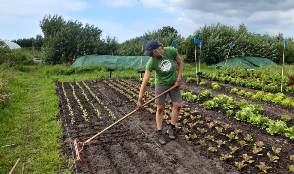 De Tuin naast de Branding
