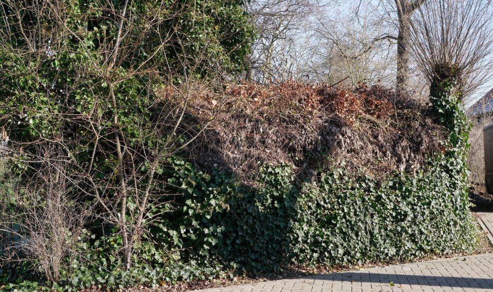 Berlaar_Doelvelden_Gerald Vereyken