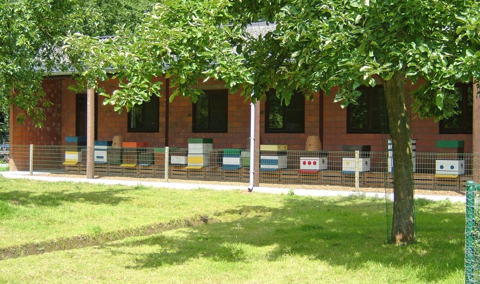 Berlaar_Doelvelden_Gerald Vereyken