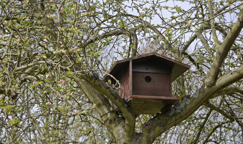 Berlaar_Doelvelden_Gerald Vereyken