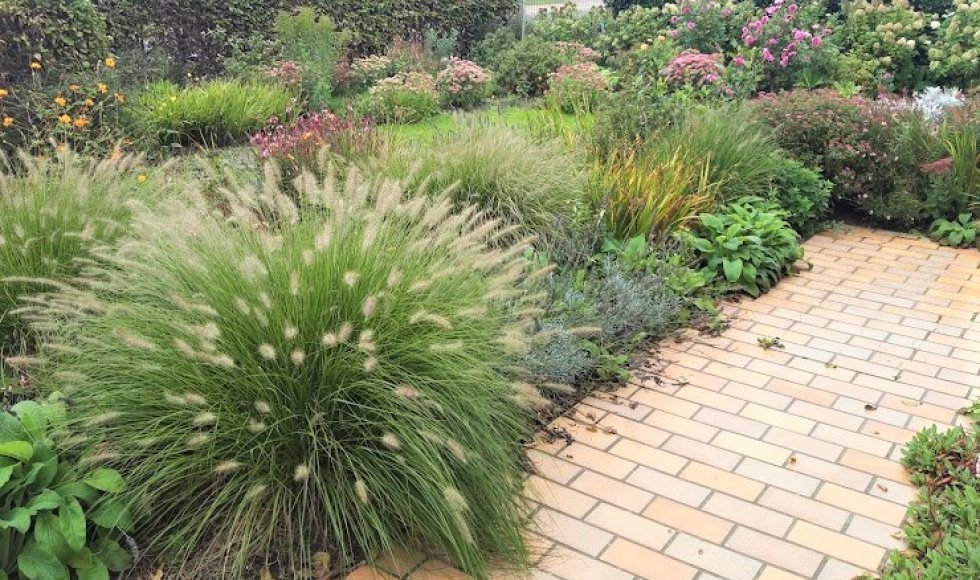 familie Temmerman - Versmesse