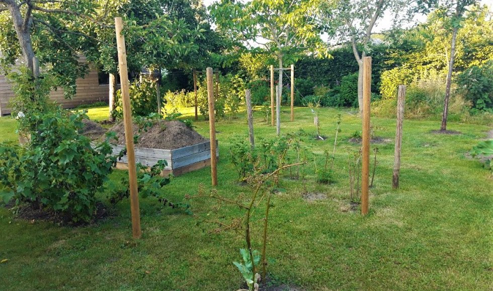 familie Temmerman - Versmesse