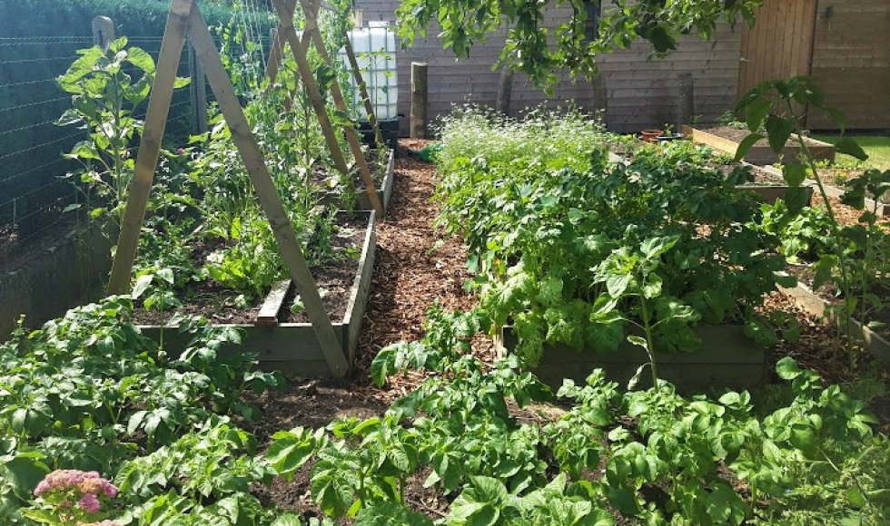 familie Temmerman - Versmesse