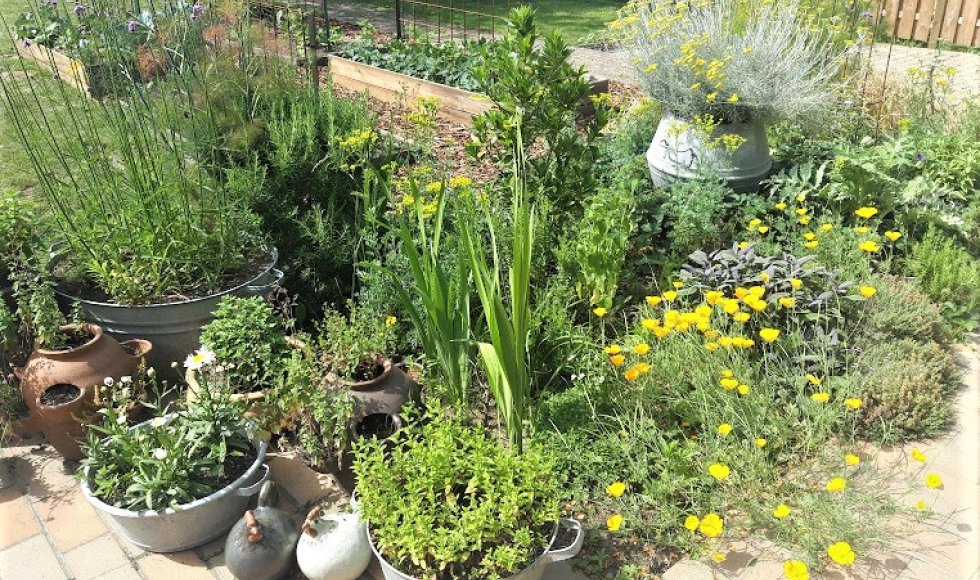 familie Temmerman - Versmesse