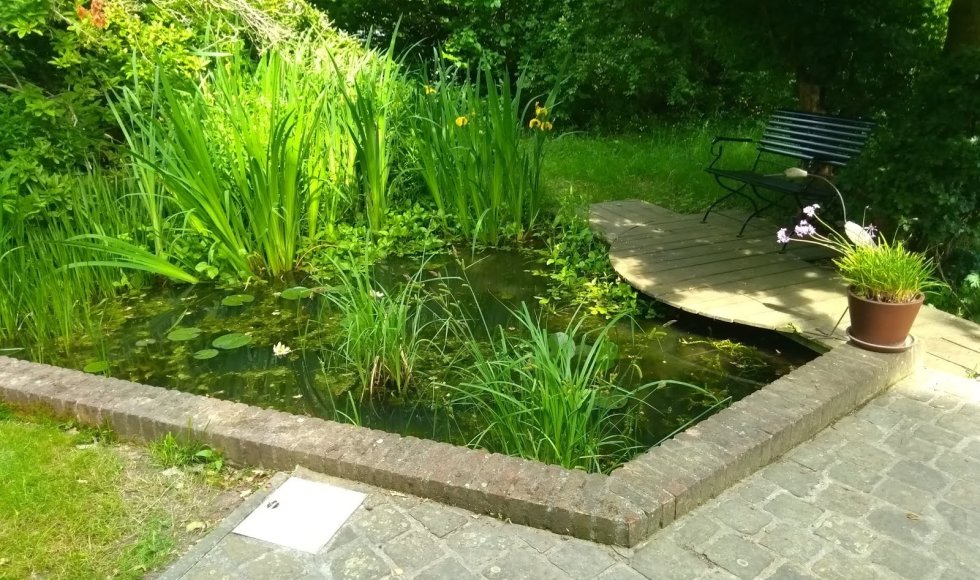 Bever_BartRoelandt_biodiverse tuin_Poreel