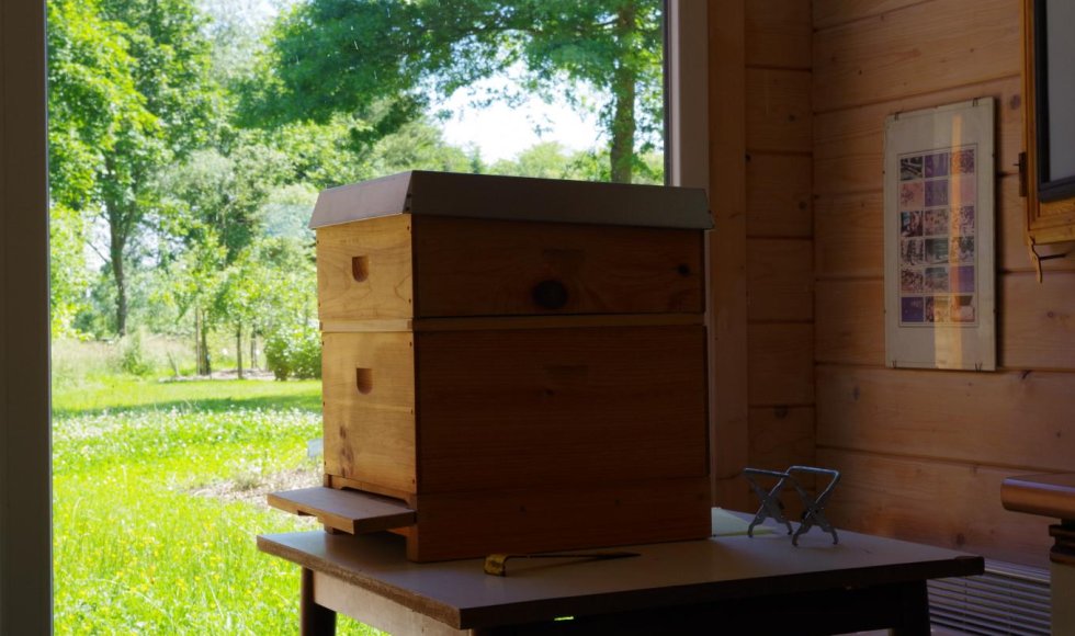 Rijkevorsel Bijencentrum De Raam &amp;