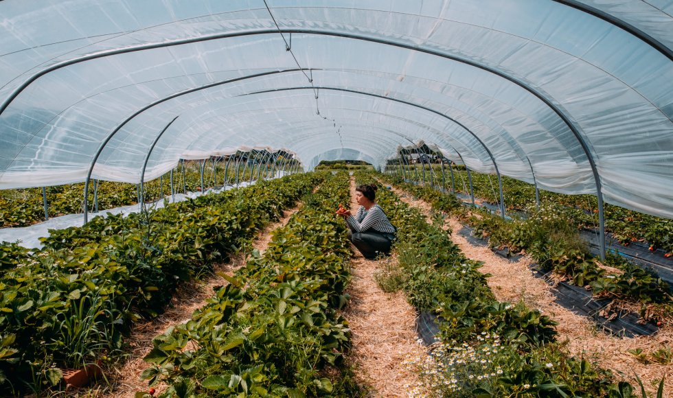 Bioboerderij 't Ambrozijn