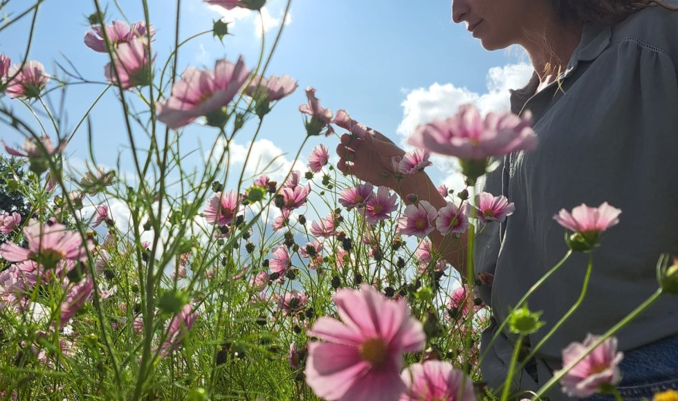 Ramsel De Bloemekeet 5