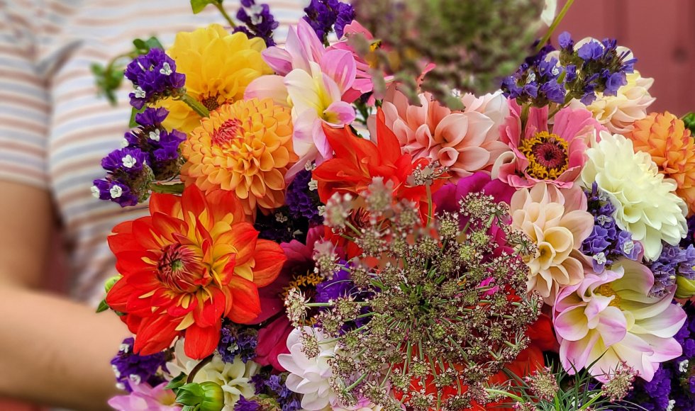 Ramsel De Bloemekeet 6