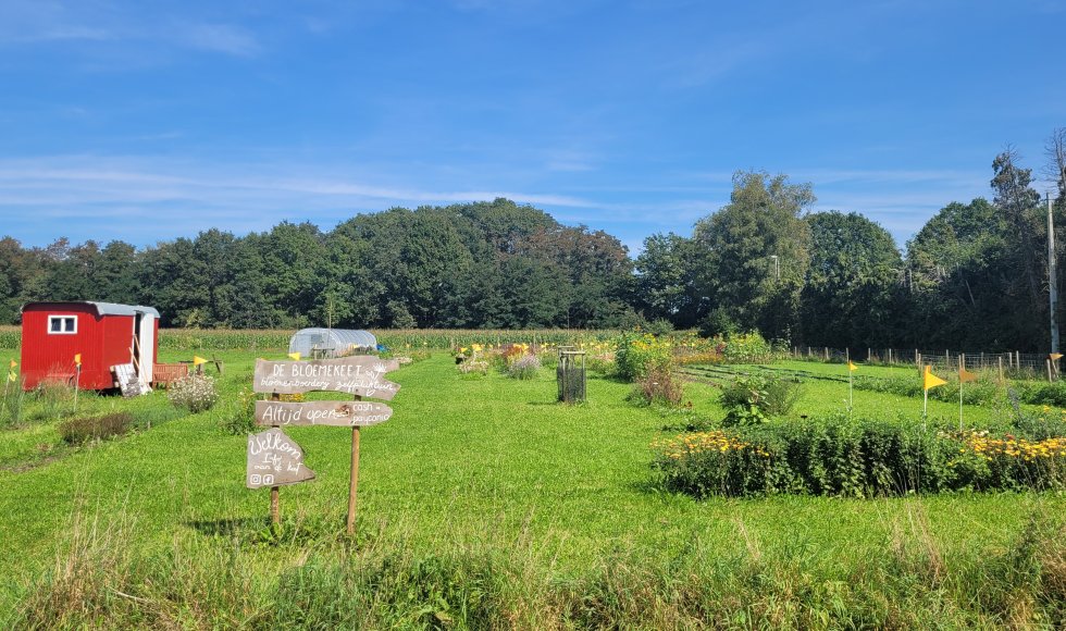 Ramsel De Bloemekeet 8