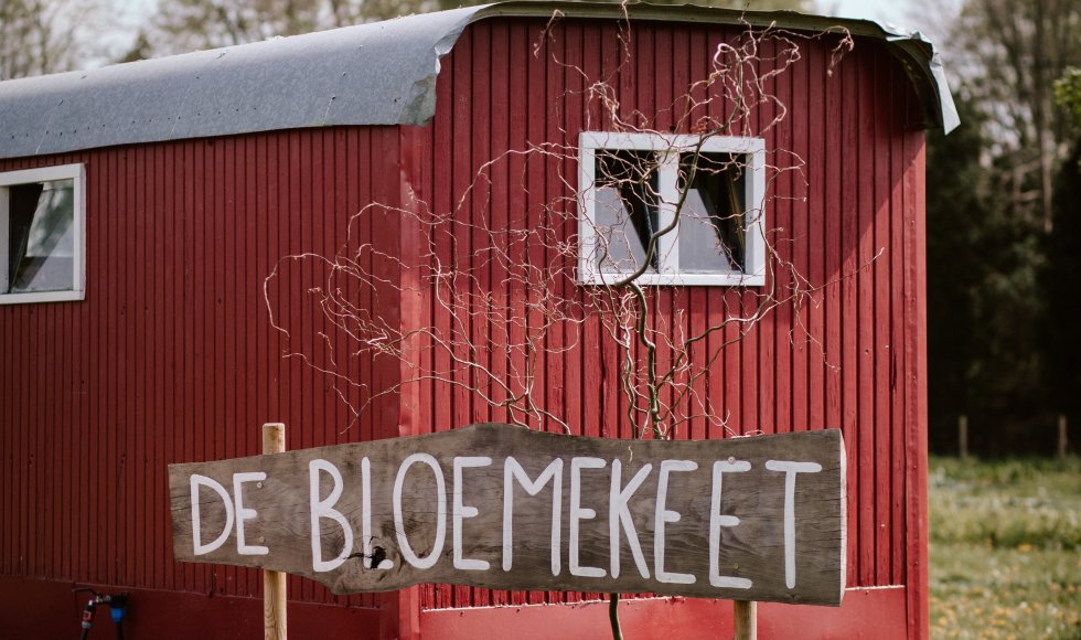 Ramsel De Bloemekeet 10