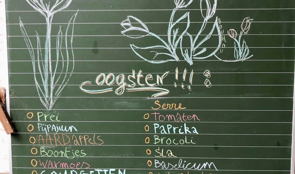 Borlo Hof van Borlo 1