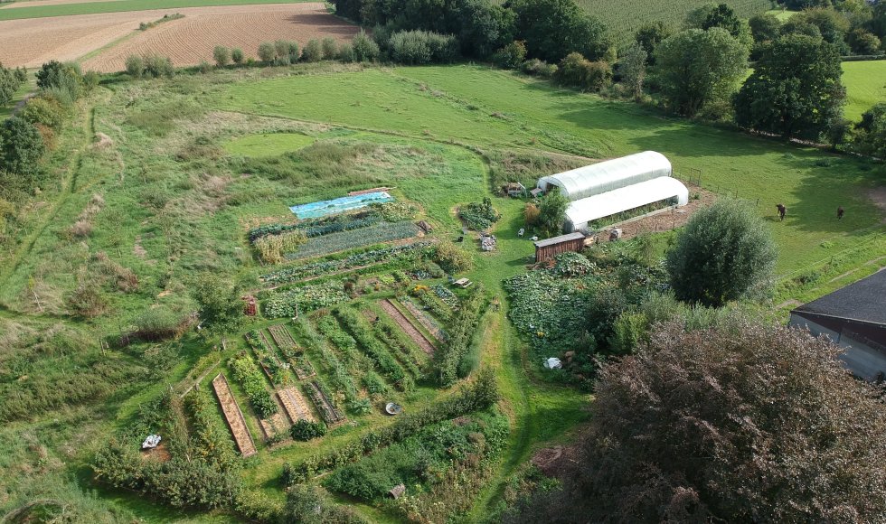 Borlo Hof van Borlo 2