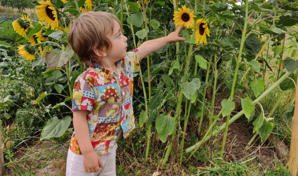 Borlo Hof van Borlo 3