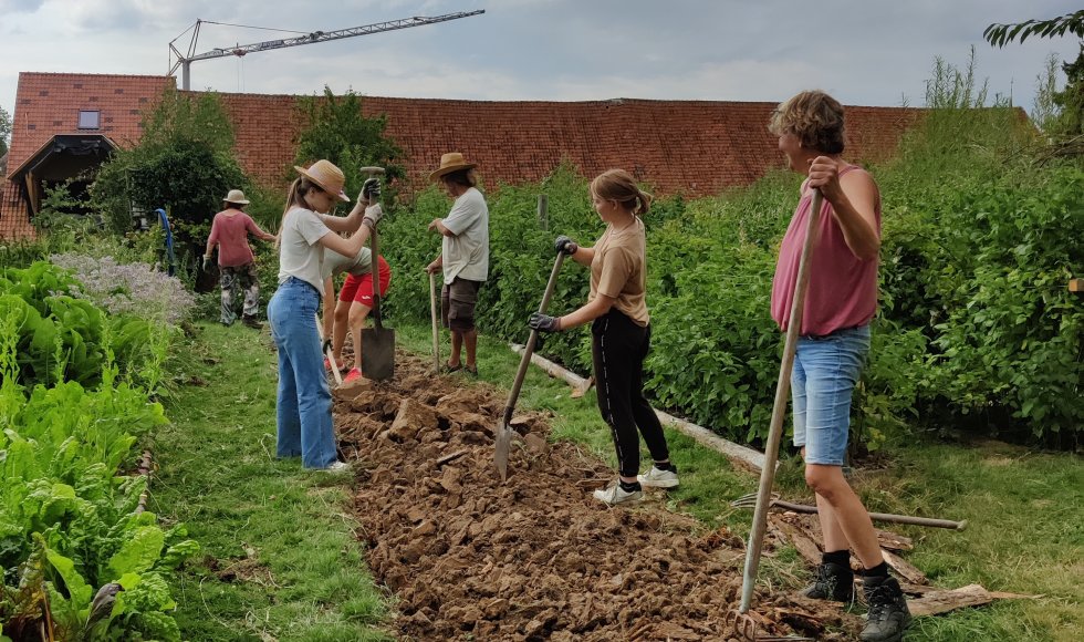 Borlo Hof van Borlo 4