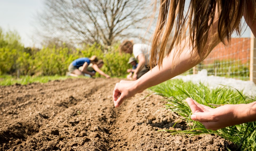 Borlo Hof van Borlo 6