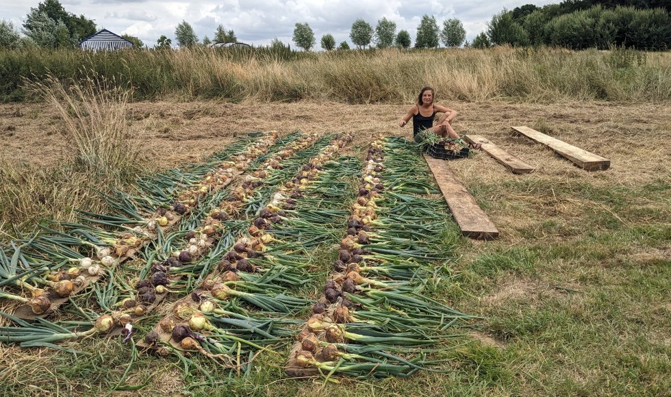 Borlo Hof van Borlo 7