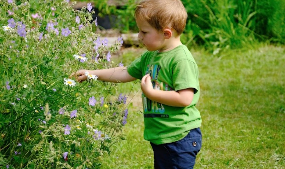 Brasschaat_Werverbos