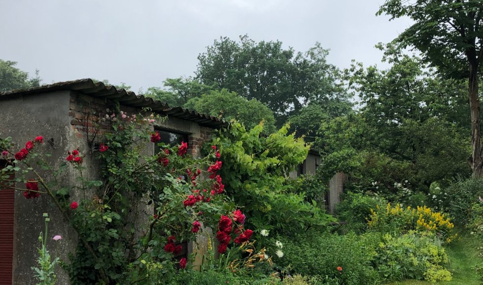 Brasschaat Werverbos