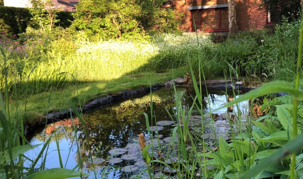 Brasschaat Werverbos