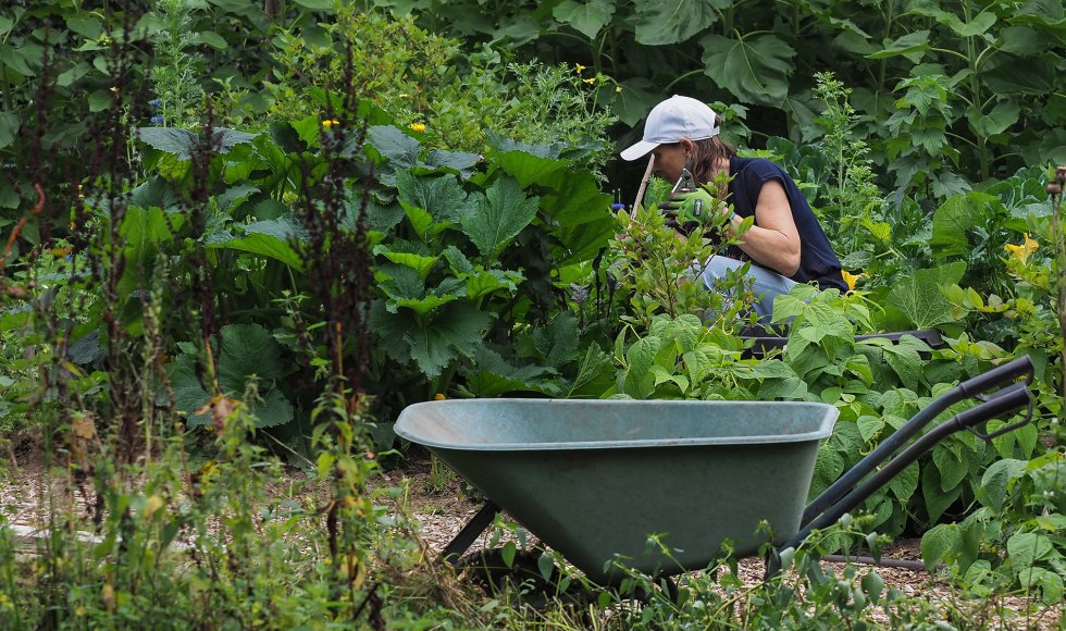 Brunssum De Grenstuin5
