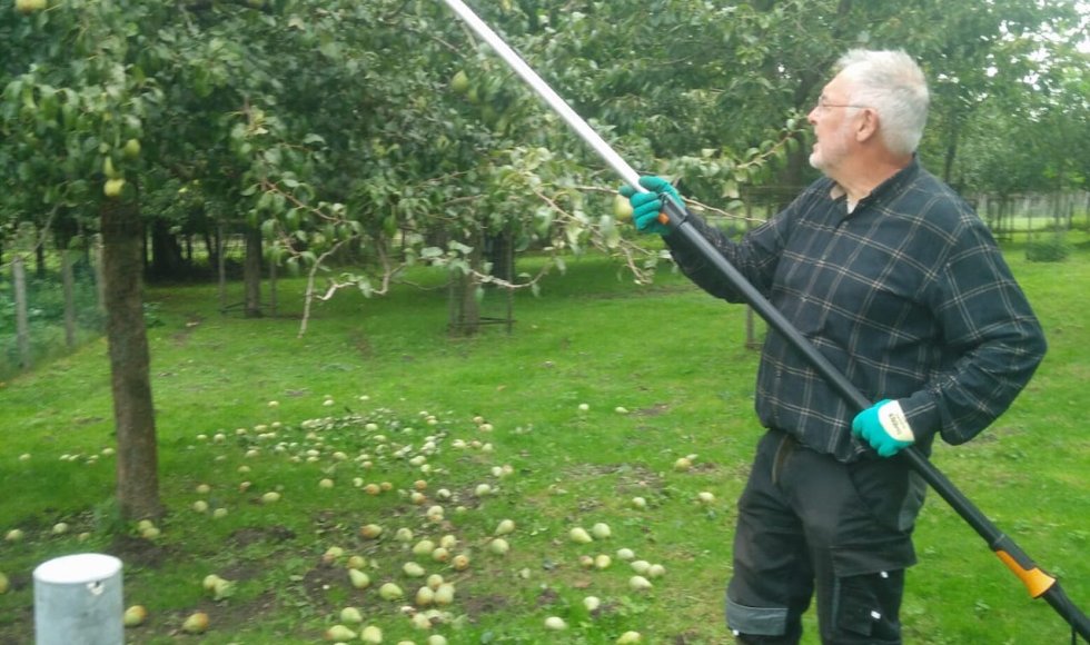 Buurtboomgaard Bosbeekpoort 4