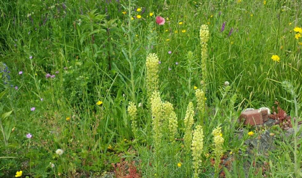 Natuurtuinen Jekerdal