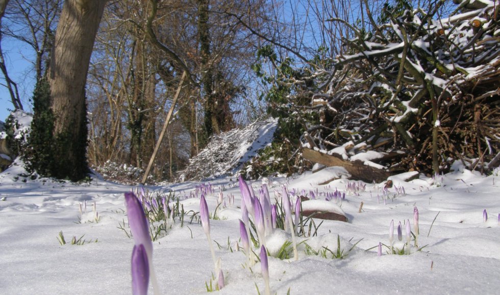 Kringlooptuin, ecotoilet en waterinfiltratie