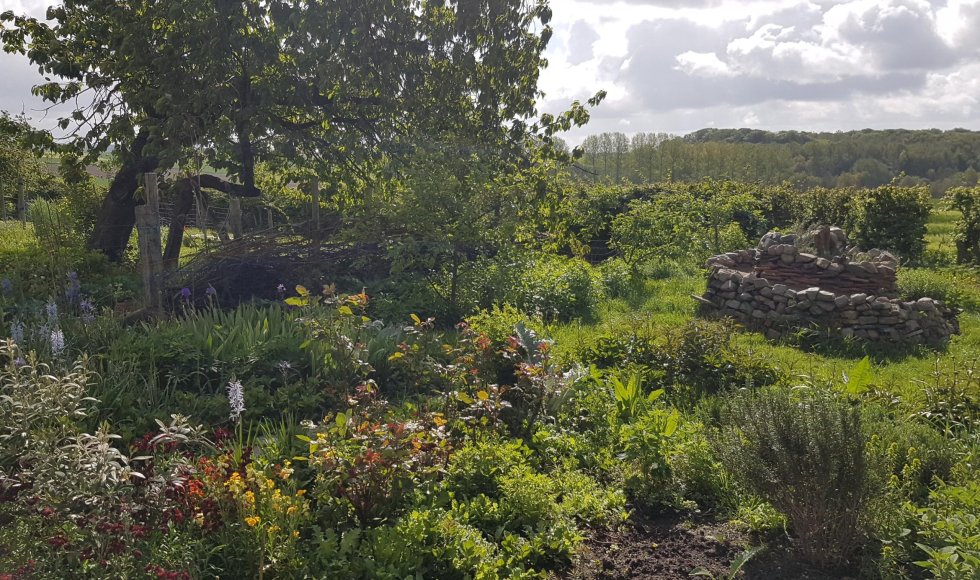 Ecotuin van vzw Waaranders