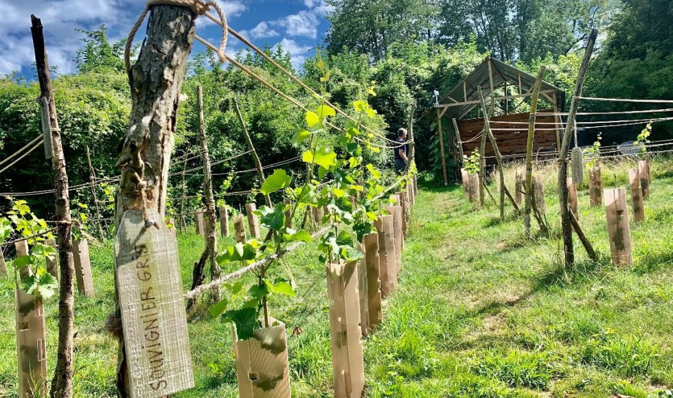 Cadier en Keer Vuurpad 3