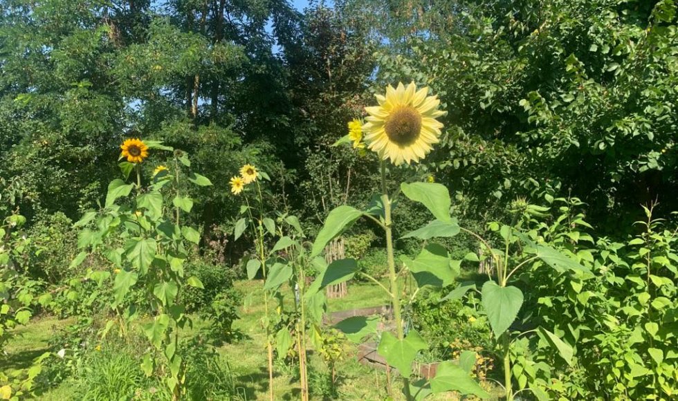 Cadier en Keer Vuurpad 2