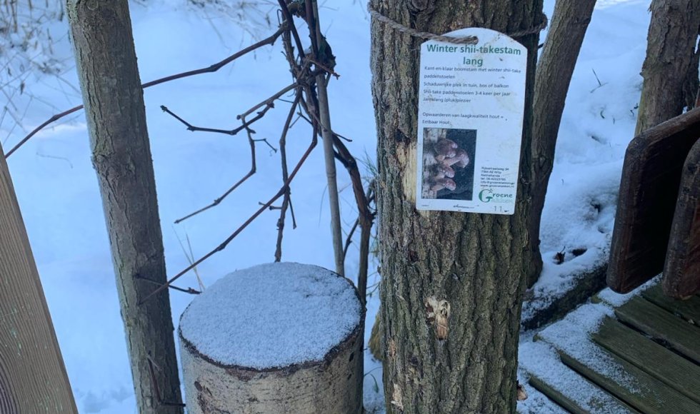 Cadier en Keer Vuurpad 5