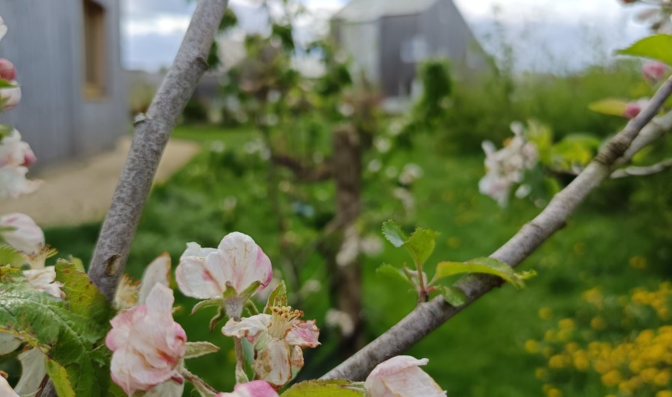 Almere De kindvriendelijke eetbare tuin van Marten en Cathelijne 1