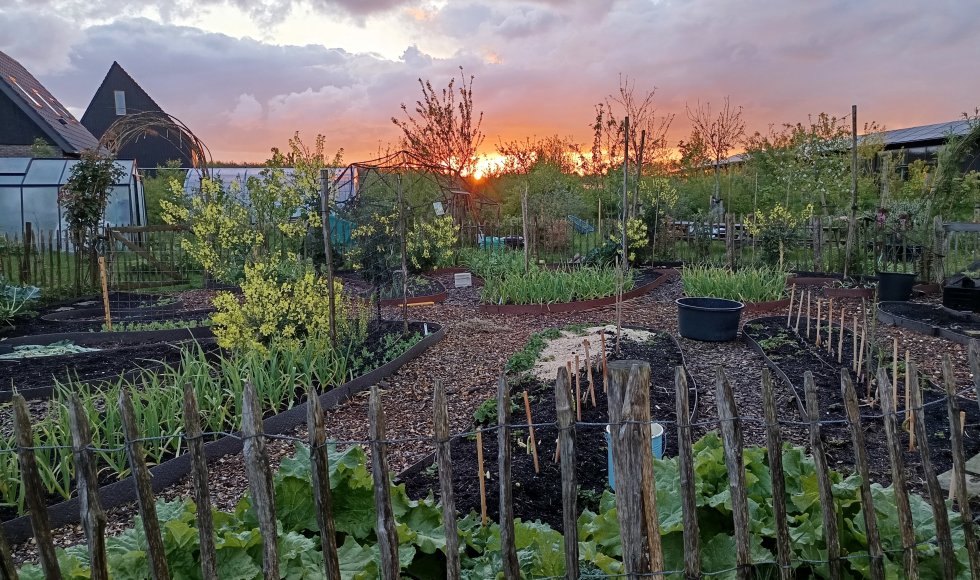 Almere De kindvriendelijke eetbare tuin van Marten en Cathelijne 2