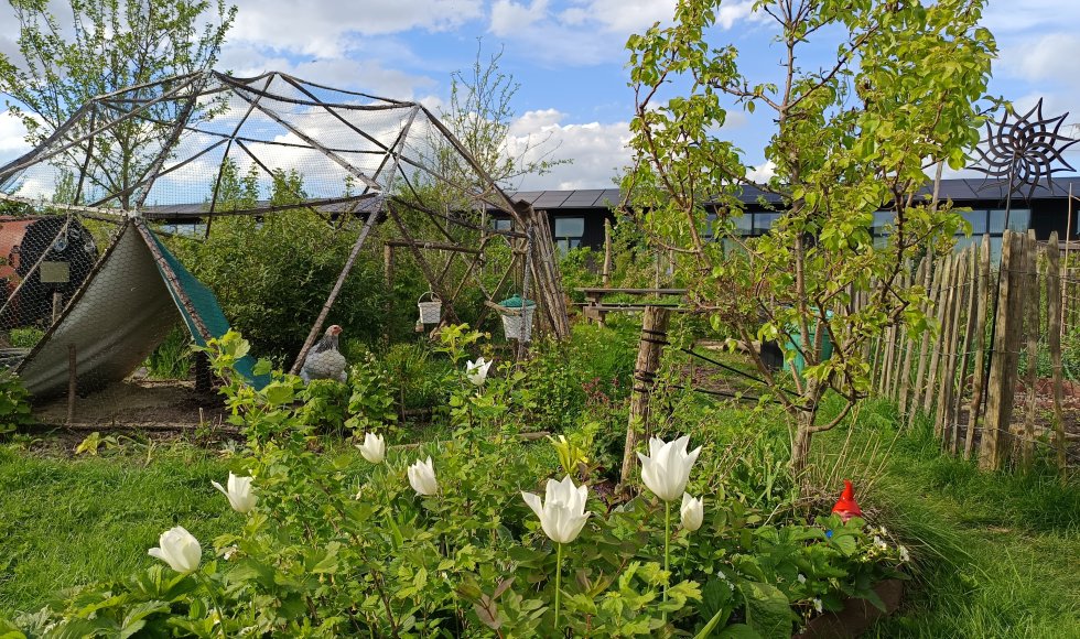 Almere De kindvriendelijke eetbare tuin van Marten en Cathelijne 4