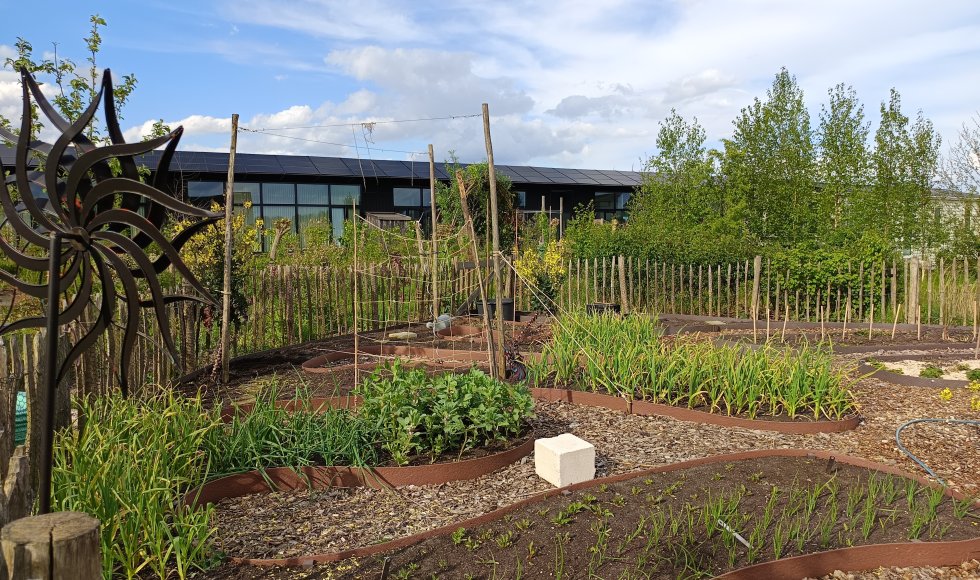 Almere De kindvriendelijke eetbare tuin van Marten en Cathelijne 5