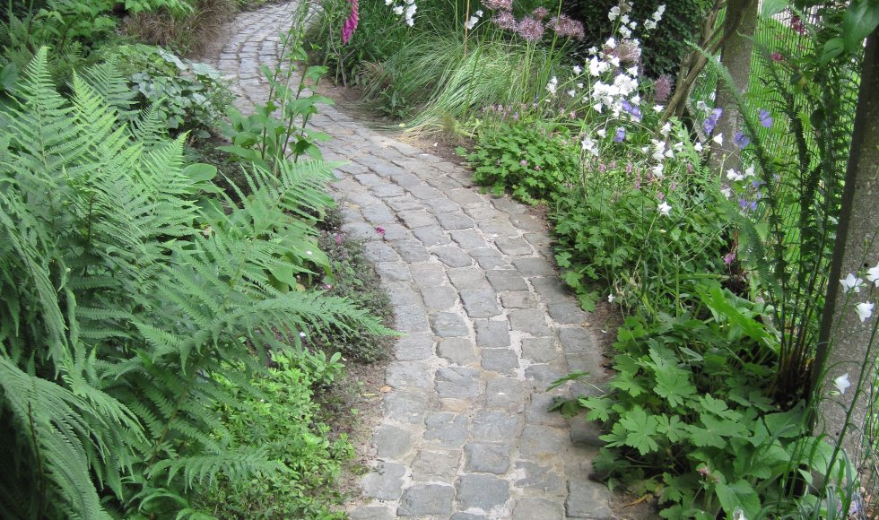 ecotuin Collins Singelyn 2