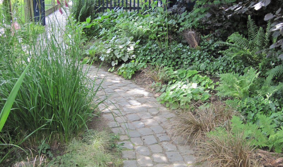 ecotuin Collins Singelyn 3