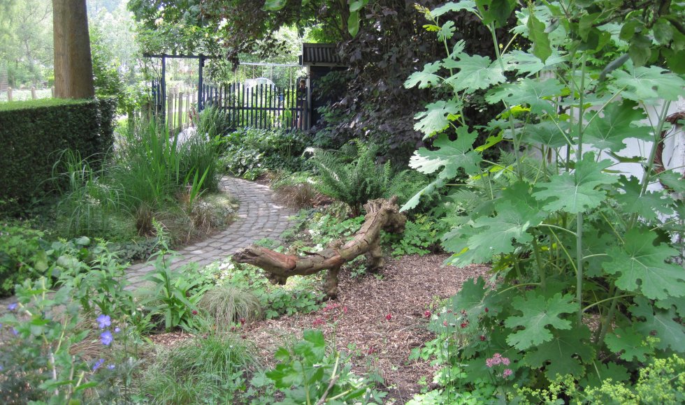 ecotuin Collins Singelyn 4