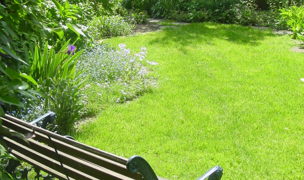 ecotuin Collins Singelyn 6