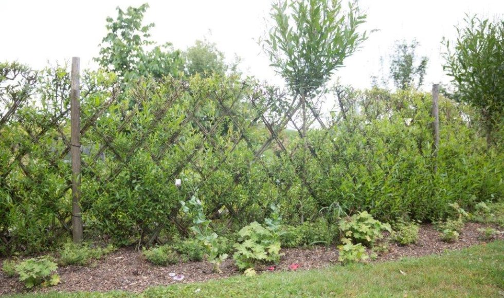 Ecologische kringlooptuin van het Comité Jean Pain