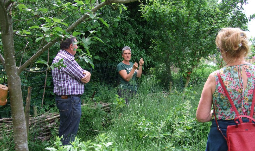 la maîtresse du vert