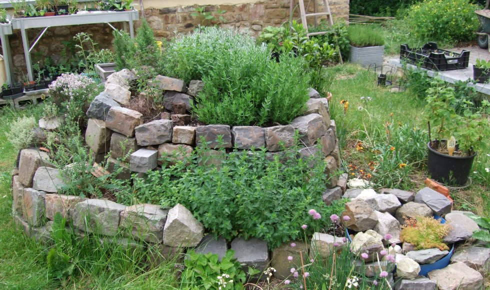 la maîtresse du vert