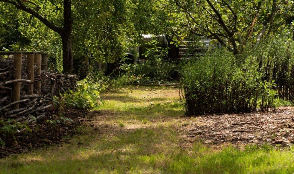 Ecologische kringlooptuin van het Comité Jean Pain