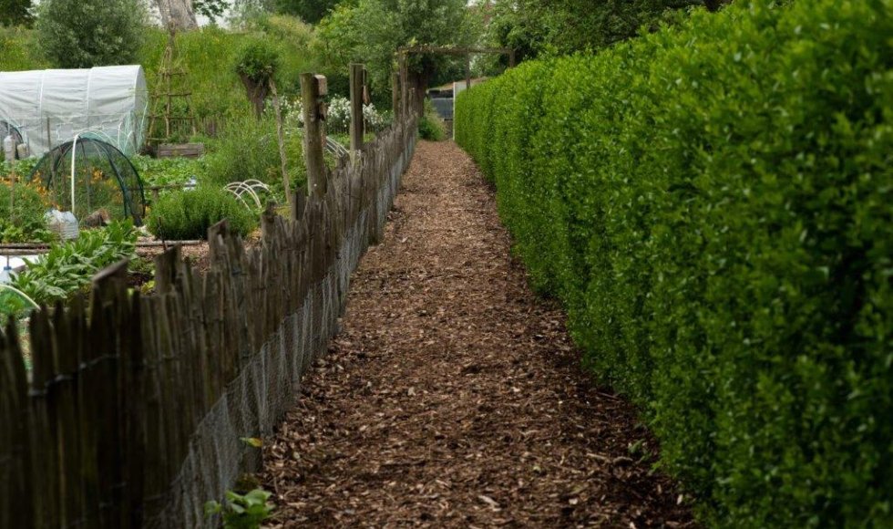 Ecologische kringlooptuin van het Comité Jean Pain